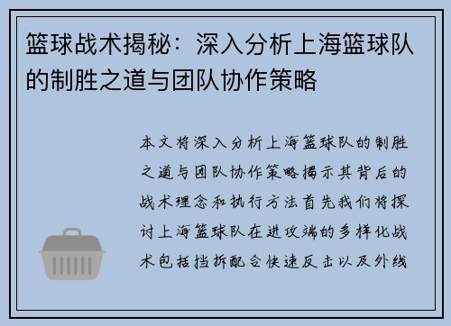 篮球战术揭秘：深入分析上海篮球队的制胜之道与团队协作策略