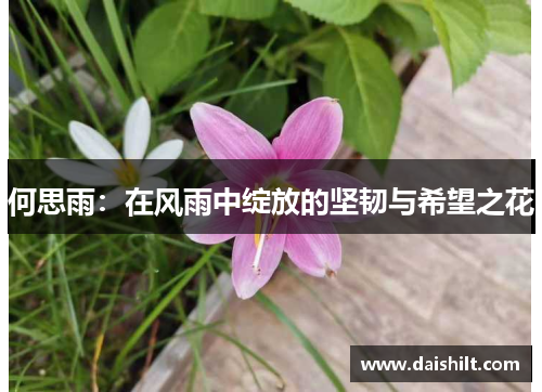 何思雨：在风雨中绽放的坚韧与希望之花